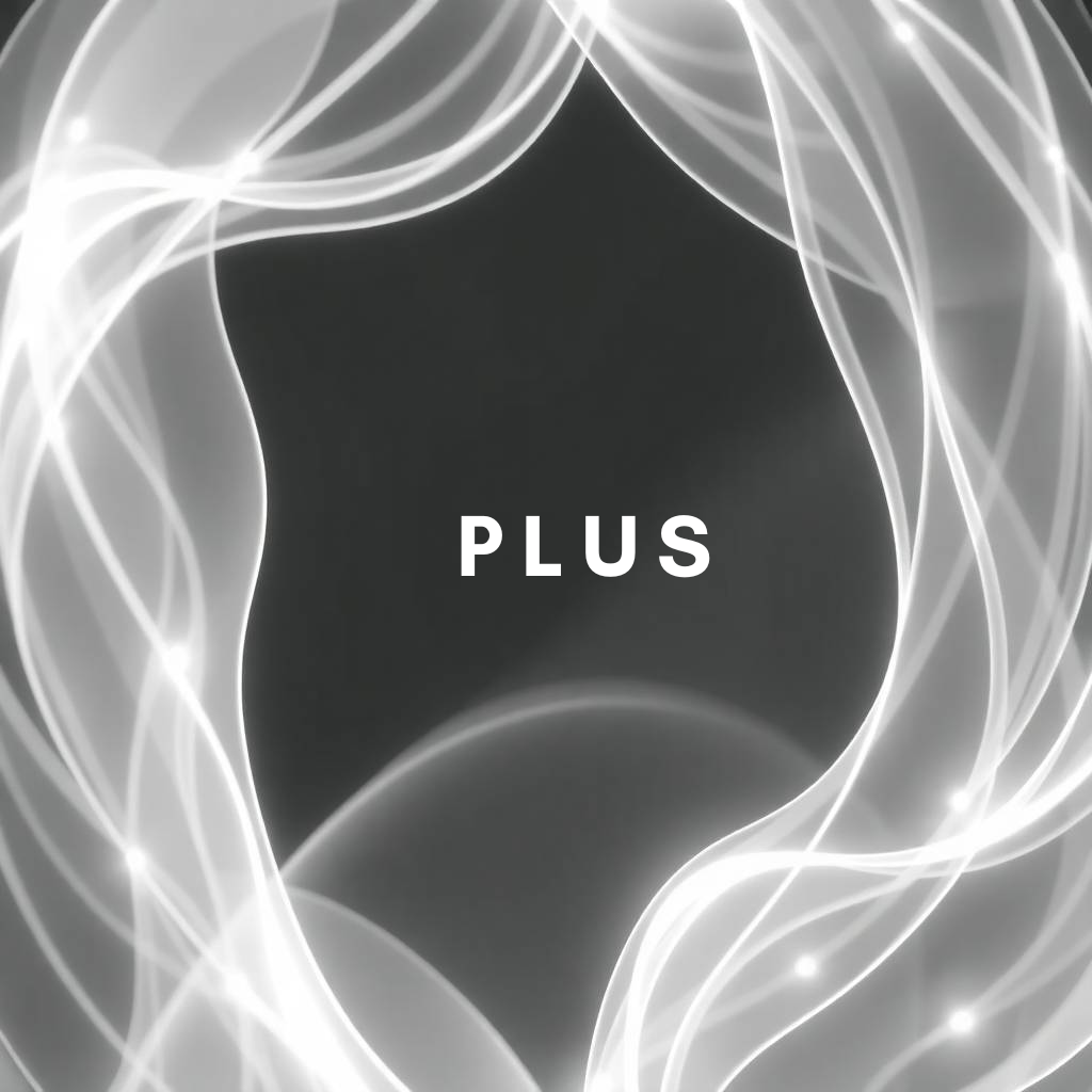 Plus